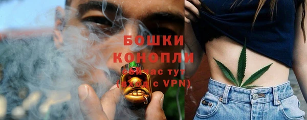соль ск Белокуриха