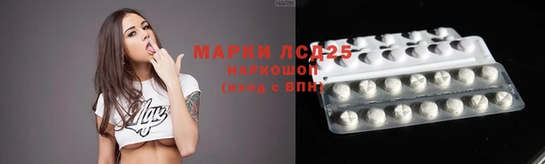 соль ск Белокуриха